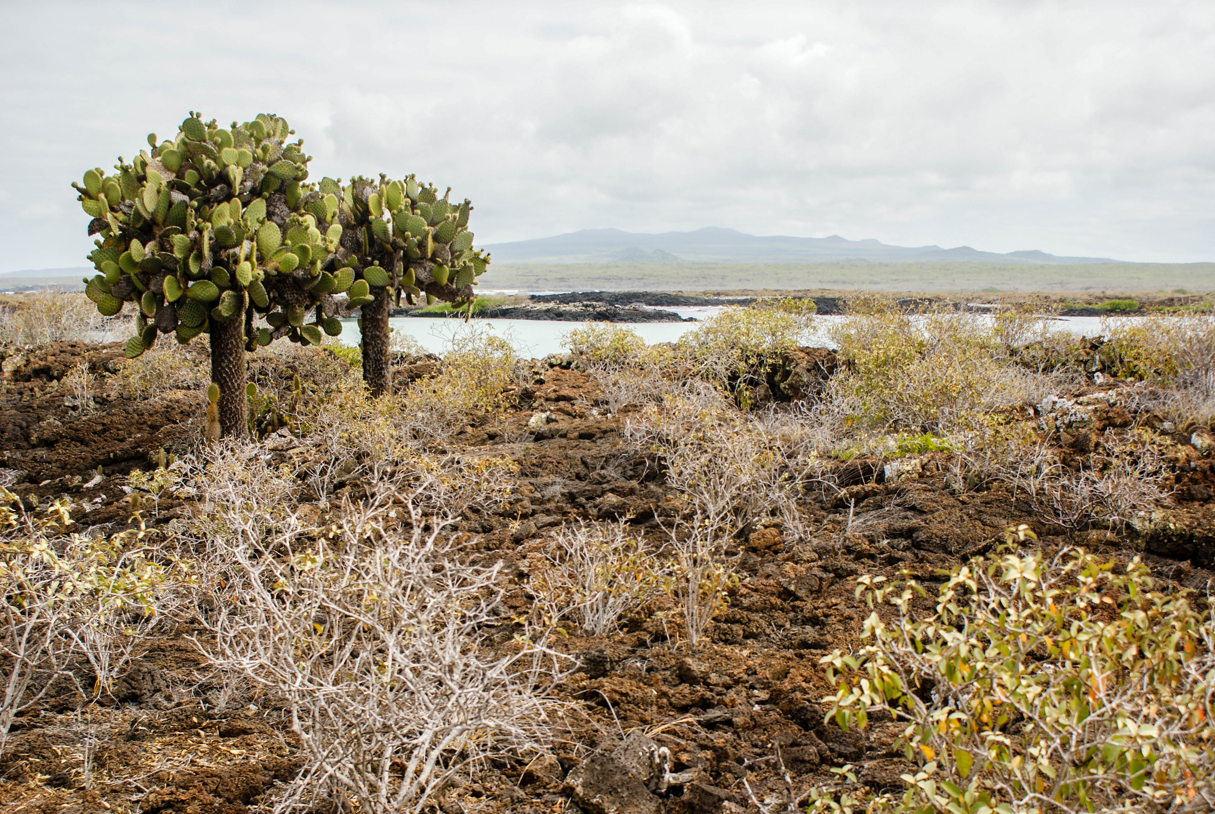 landscape Galapagos islands